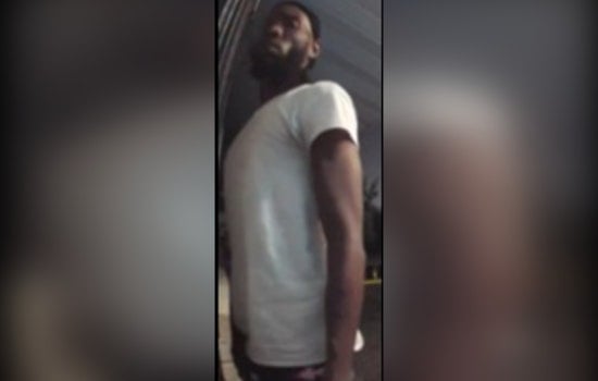 New Orleans Police Seek Public's Help to Identify Suspect Accused of Multiple Auto Burglaries on Burgundy and Conti Streets