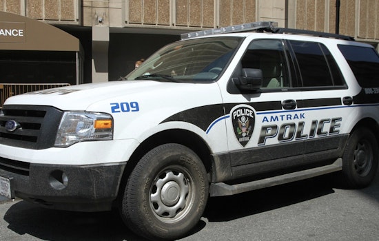 New York Lawmakers Accuse Amtrak Police of Discriminatory Arrests at Penn Station and Call for End to 'Stonewall Era' Tactics