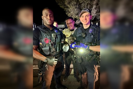 NLVPD and LVMPD Officers Collaborate to Capture Armed Carjacking Suspect and Rescue Dog in Las Vegas