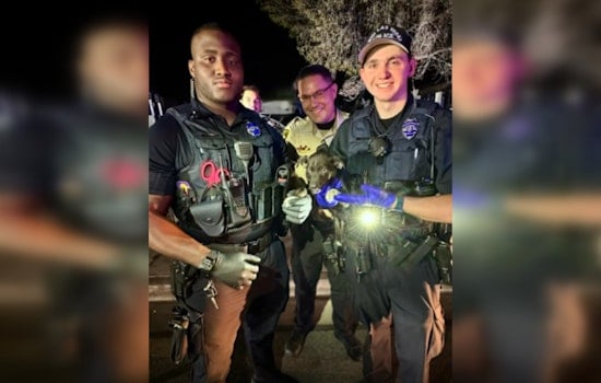 NLVPD and LVMPD Officers Collaborate to Capture Armed Carjacking Suspect and Rescue Dog in Las Vegas