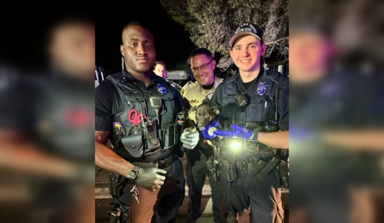 NLVPD and LVMPD Officers Collaborate to Capture Armed Carjacking Suspect and Rescue Dog in Las Vegas