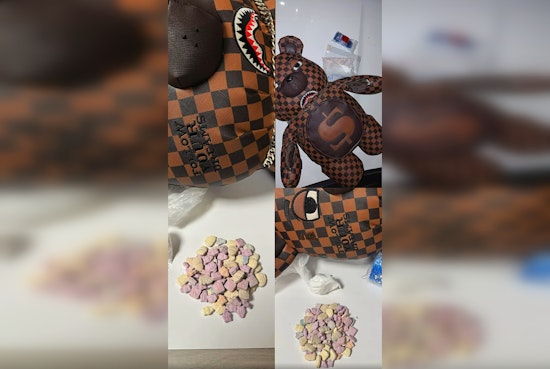 North Las Vegas Police Seize Drugs in Routine Bust, Officer Runser Praised for Efforts