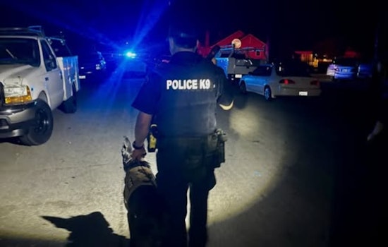 Novato Police Investigate Third Street Shooting After Armed Robbery, Community Urged to Assist