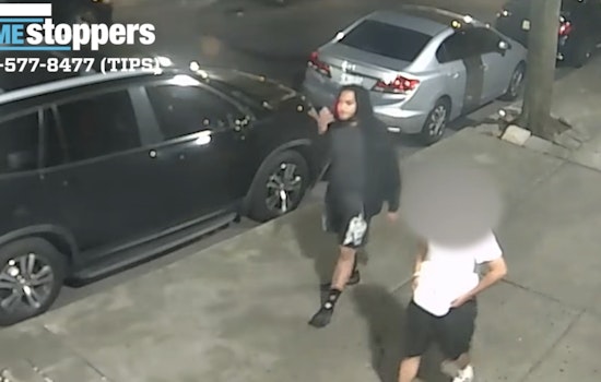 NYPD Seeks Information on Armed Robbery During Sneaker Sale in the Bronx