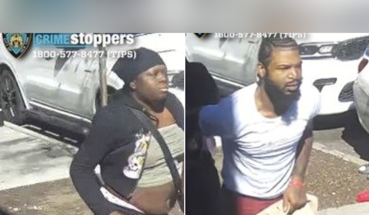 NYPD Seeks Public's Help to Find Suspects in Bronx Assault Case