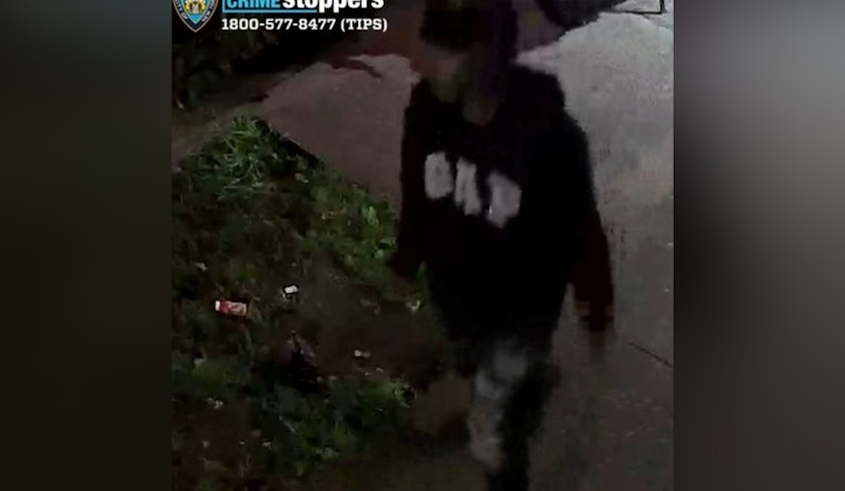 NYPD Seeks Public's Help to Identify Suspect in Bronx Robbery Spree