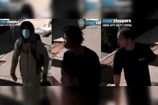 NYPD Seeks Public's Help to Identify Suspects in Brooklyn Assault on Flatbush Avenue