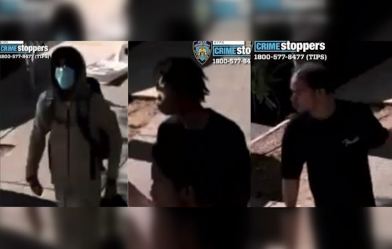 NYPD Seeks Public's Help to Identify Suspects in Brooklyn Assault on Flatbush Avenue