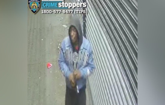 NYPD Seeks Suspect Accused of Brutal Assault in Bronx as Authorities Appeal for Public's Assistance