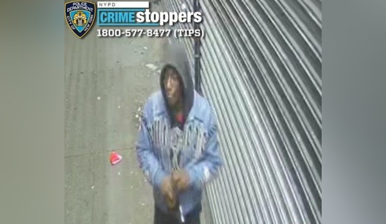 NYPD Seeks Suspect Accused of Brutal Assault in Bronx as Authorities Appeal for Public's Assistance