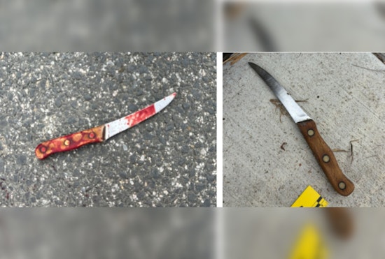 Officers in Washington, D.C. Involved in Fatal Shooting of Armed Suspect in Northwest District