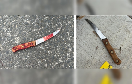 Officers in Washington, D.C. Involved in Fatal Shooting of Armed Suspect in Northwest District