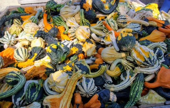 Ohio State University Pioneers Speedier Conversion of Food Waste to Valuable Chemicals with Electricity-Enhanced Fermentation