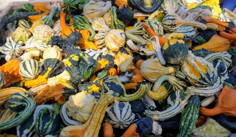 Ohio State University Pioneers Speedier Conversion of Food Waste to Valuable Chemicals with Electricity-Enhanced Fermentation