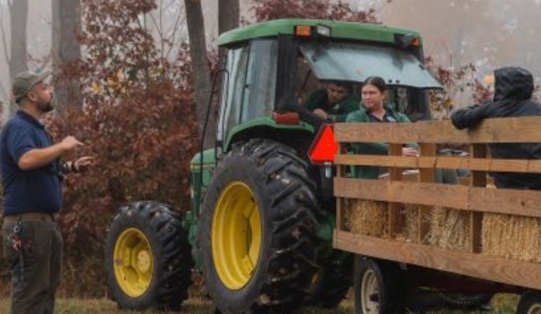 Ohio Welcomes Nature Enthusiasts to Fall Color Festivities at Hocking State Forest and Conkles Hollow