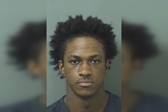 Palm Beach County Man Charged with Lewd or Lascivious Battery After Alleged Incident with Minor Met on Roblox