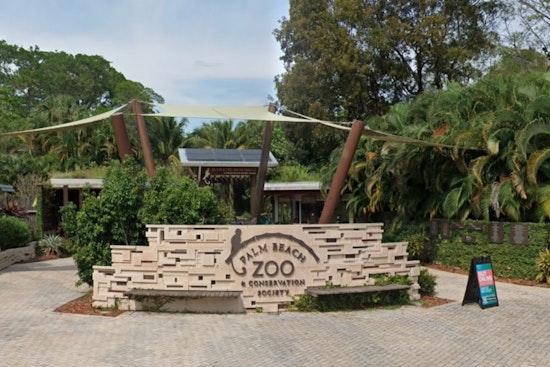 Palm Beach Zoo Debuts Unique Cohabitation Exhibit for Golden Lion Tamarins and Sloths