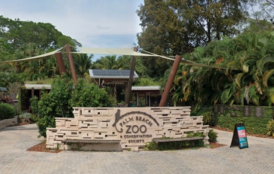 Palm Beach Zoo Debuts Unique Cohabitation Exhibit for Golden Lion Tamarins and Sloths