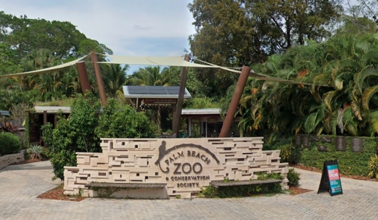 Palm Beach Zoo Debuts Unique Cohabitation Exhibit for Golden Lion Tamarins and Sloths