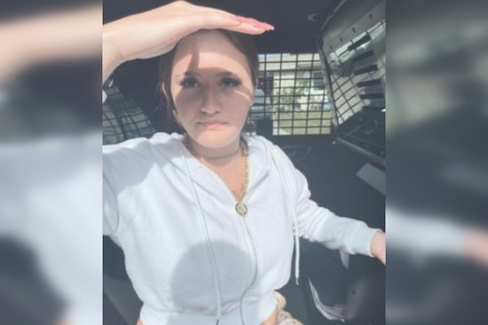 Pasco Sheriff's Office Seeks Help to Locate Missing 15-Year-Old Avalynne Lloyd in Holiday
