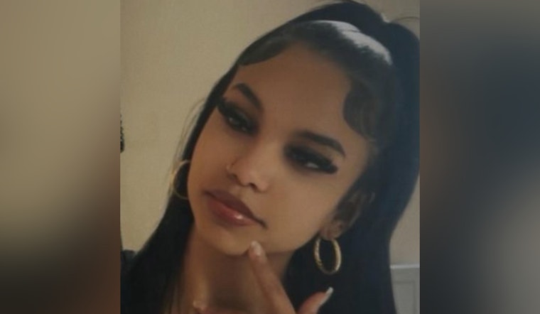 Pasco Sheriff's Office Seeks Public's Help in Locating Missing Teen Luchianna Viaud from Land O' Lakes