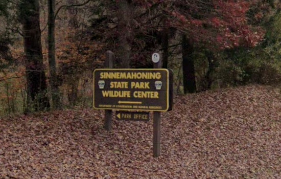 Pennsylvania's Shapiro Administration to Host "Recovery in Nature" Event at Sinnemahoning State Park for National Recovery Month