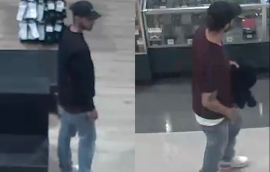Petaluma Police Seek Public Help to Identify Suspect in Dick's Sporting Goods Theft