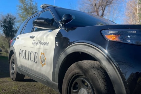 Petaluma Woman Charged with Animal Cruelty After Allegedly Abusing Dog in Public