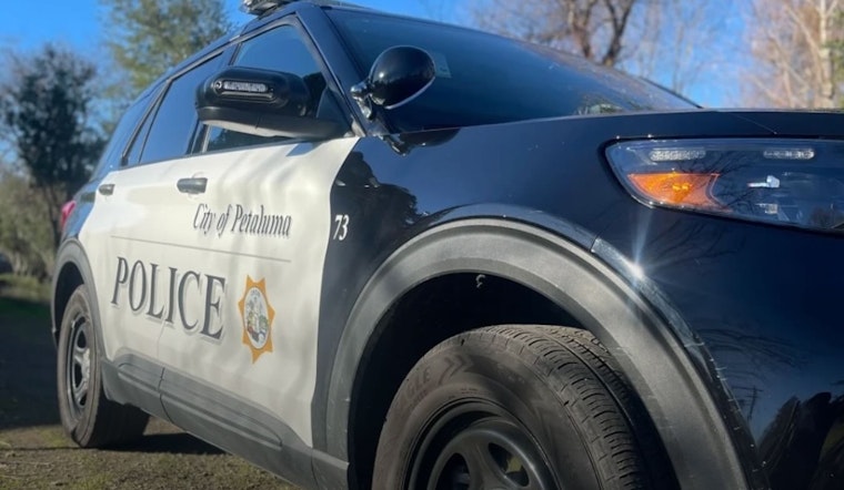 Petaluma Woman Charged with Animal Cruelty After Allegedly Abusing Dog in Public