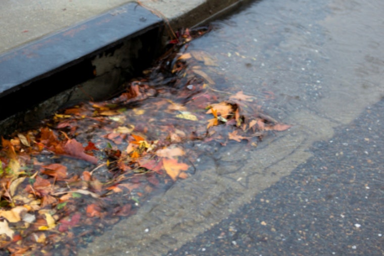 Phoenix Invites Residents to Join Annual Stormwater Awareness Week and Protect Local Waterways