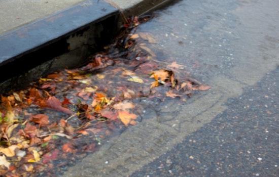Phoenix Invites Residents to Join Annual Stormwater Awareness Week and Protect Local Waterways