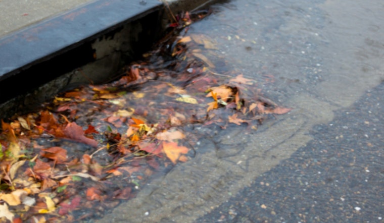 Phoenix Invites Residents to Join Annual Stormwater Awareness Week and Protect Local Waterways