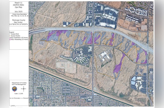 Phoenix Launches Reach 11 Fuels Project for Wildfire Prevention and Ecosystem Restoration