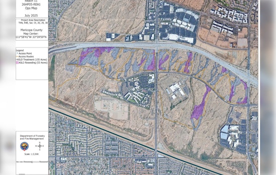Phoenix's Reach 11 Fuels Reduction Project Begins to Mitigate Wildfire Risk and Restore Ecosystem