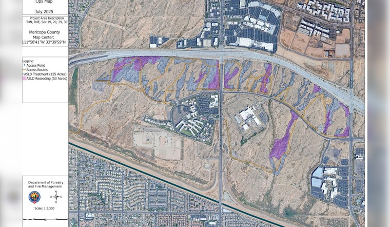 Phoenix's Reach 11 Fuels Reduction Project Begins to Mitigate Wildfire Risk and Restore Ecosystem
