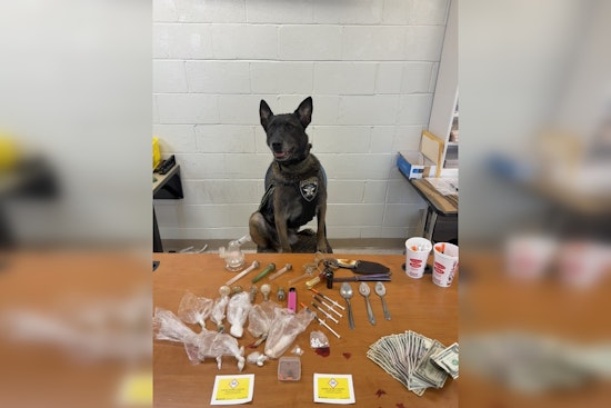 Pickens County K-9 Storm Lauded for Major Drug Bust During Traffic Stop