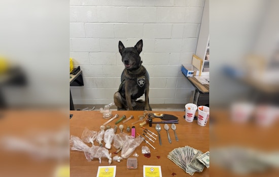 Pickens County K-9 Storm Lauded for Major Drug Bust During Traffic Stop