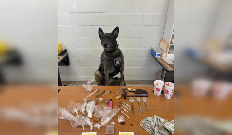 Pickens County K-9 Storm Lauded for Major Drug Bust During Traffic Stop
