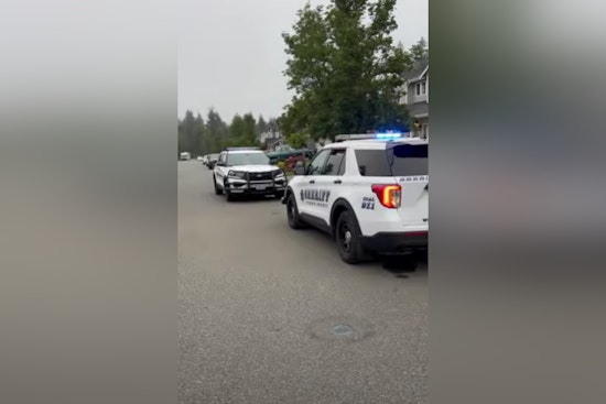 Pierce County Sheriff's Department Apprehends Barricaded Suspect Peacefully After Shooting Incident