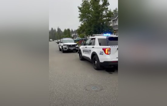 Pierce County Sheriff's Department Apprehends Barricaded Suspect Peacefully After Shooting Incident