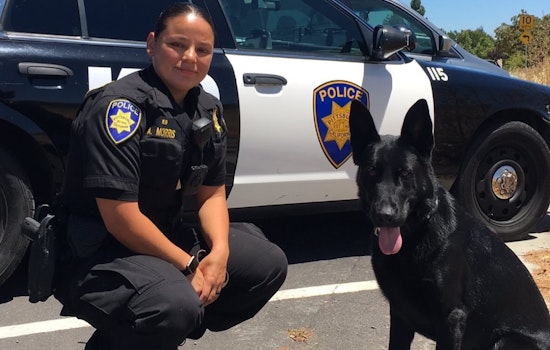 Pittsburg Police Department Honors Late K9 Officer Jager for Distinguished Service and Community Impact