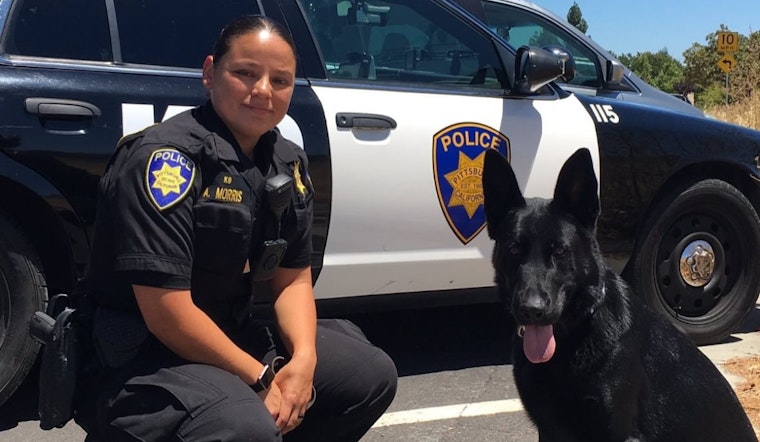 Pittsburg Police Department Honors Late K9 Officer Jager for Distinguished Service and Community Impact