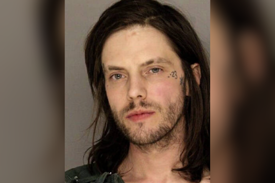Pittsburgh Man Pleads Guilty but Mentally Ill in Fatal Shooting of City Planner Under Bloomfield Bridge