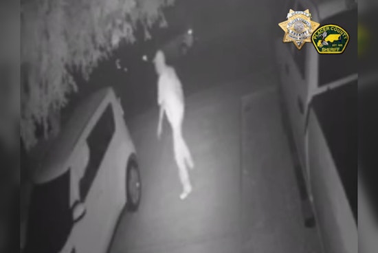 Placer County Sheriff's Office Seeks Help Identifying Suspect in Loomis Vandalism Spree