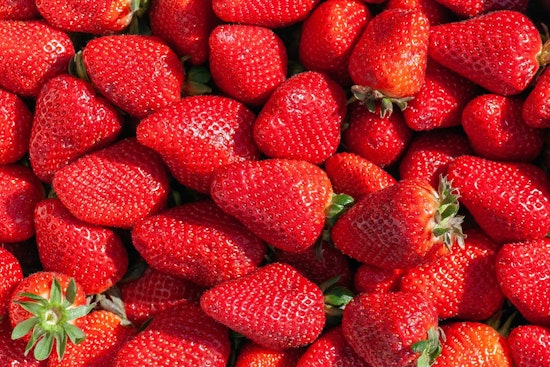Plant City's Florida Strawberry Festival Announces 'Still Growing' Theme for 2026 Celebration