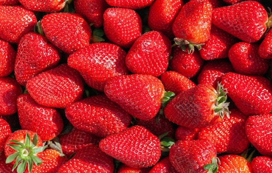 Plant City's Florida Strawberry Festival Announces 'Still Growing' Theme for 2026 Celebration