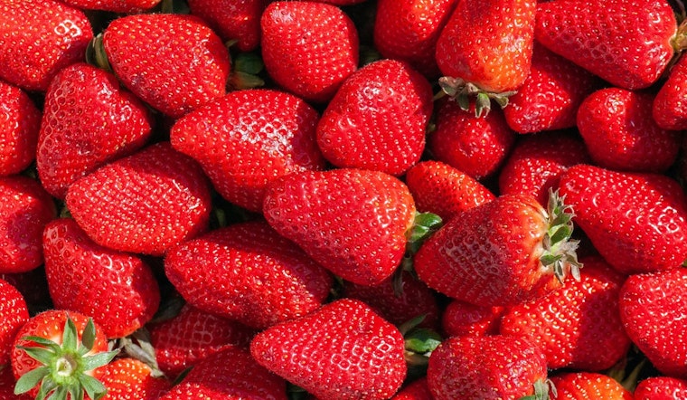 Plant City's Florida Strawberry Festival Announces 'Still Growing' Theme for 2026 Celebration
