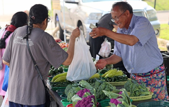 Plymouth to Celebrate Autumn with One-Day Fall Farmers Market on the Boulevard