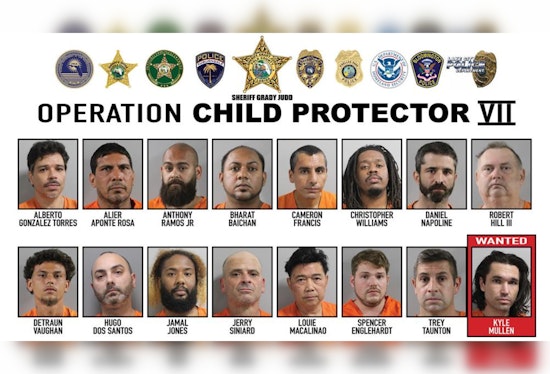 Polk County Sting Nabs 246 Suspects, Human Traffickers Busted, Child Predators Charged