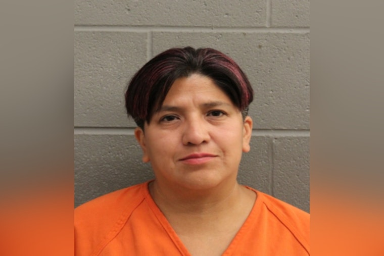 Precinct 4 Law Enforcement Cracks Down on Drunk Driving, Nicole Wyatt Charged with DWI